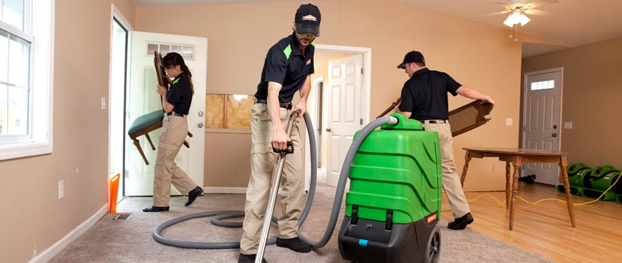 Marshfield, WI cleaning services